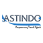 astindo-5.pages.dev favicon